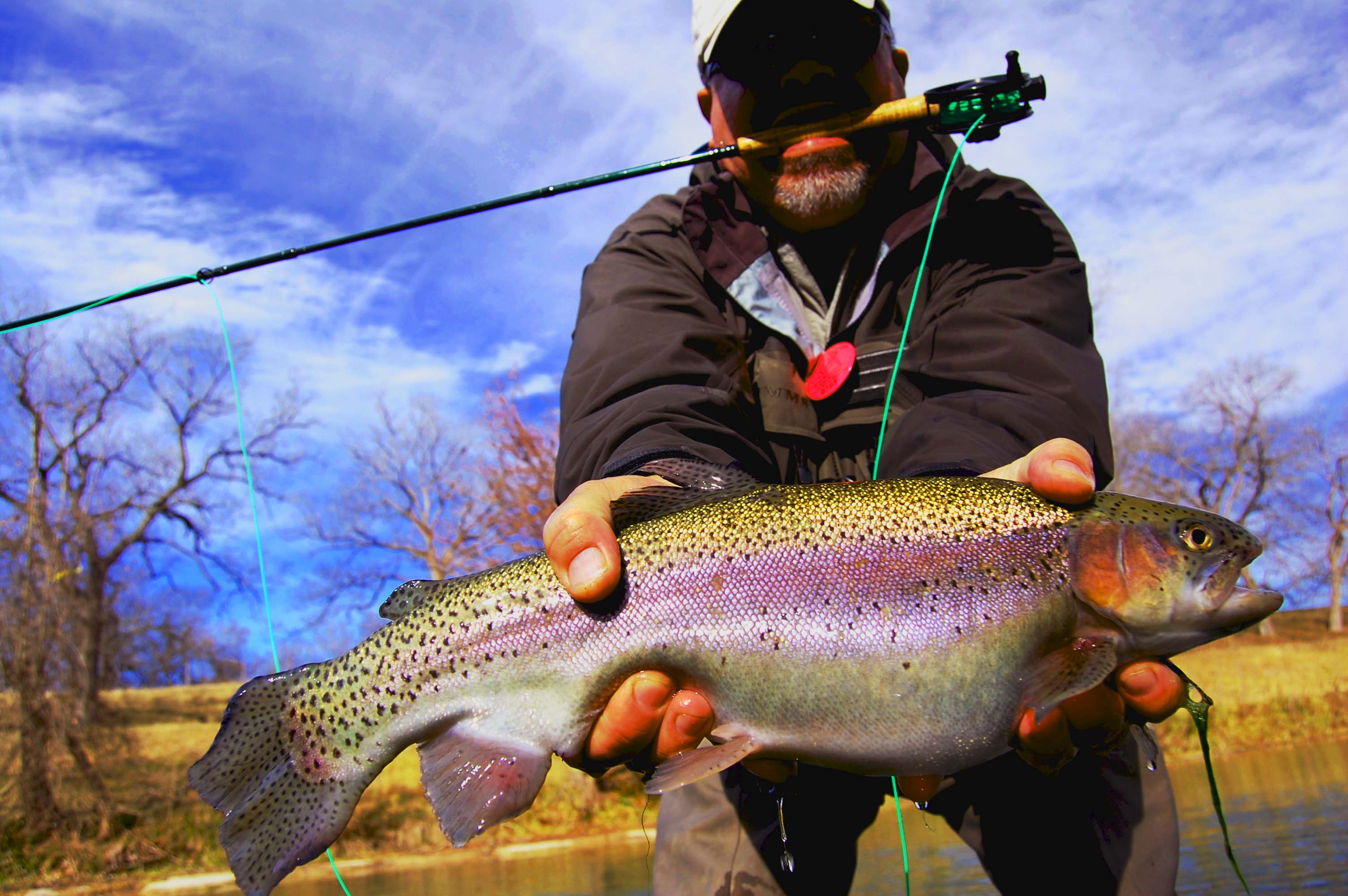 Fly Fishing Pro Jim Collins with Guadalupe Trout